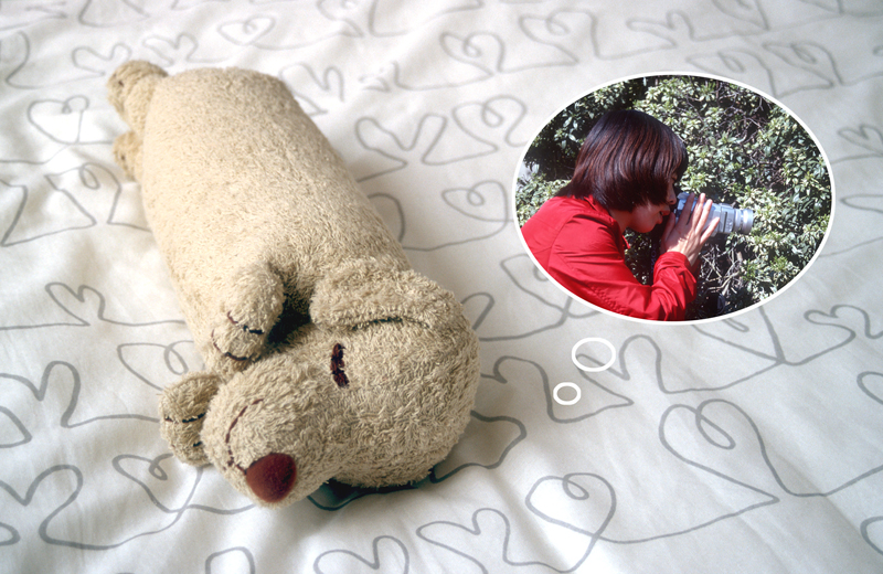 my pillow